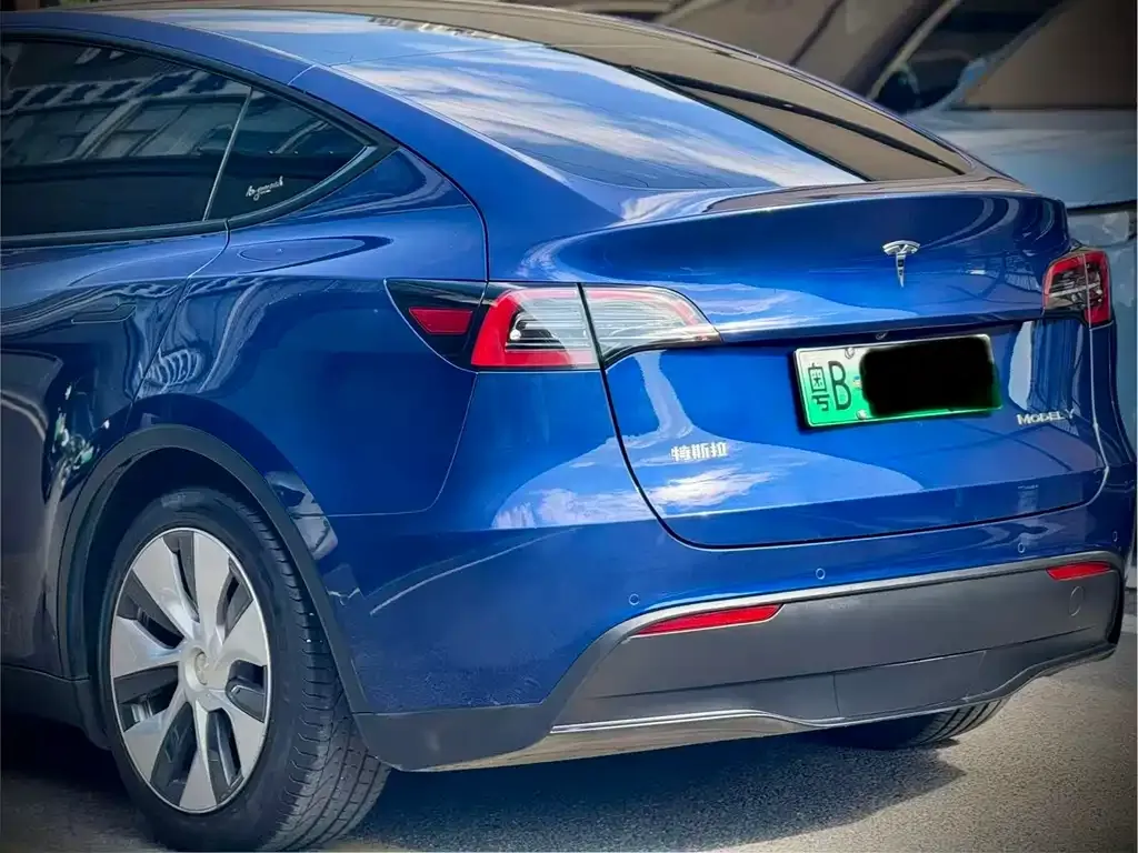 Tesla Model Y 2021 из CN, фото 2