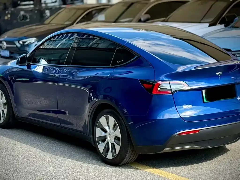 Tesla Model Y 2021 из CN, фото 3