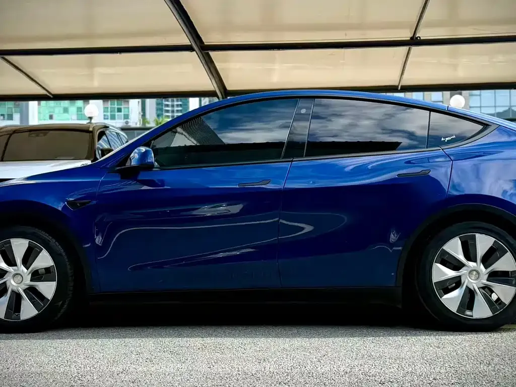 Tesla Model Y 2021 из CN, фото 4