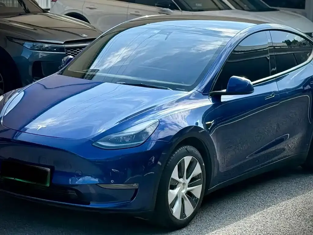 Tesla Model Y 2021 из CN, фото 5