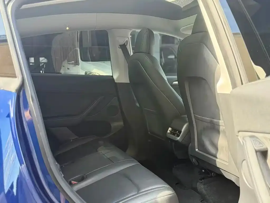 Tesla Model Y 2021 из CN, фото 6