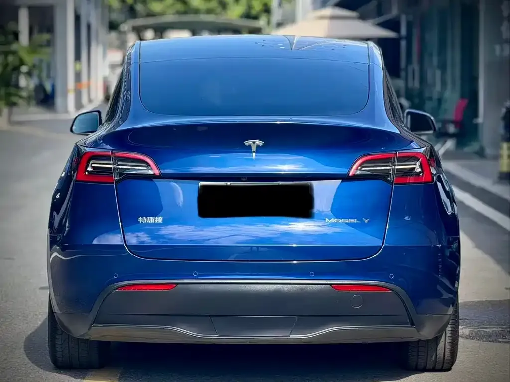 Tesla Model Y 2021 из CN, фото 8