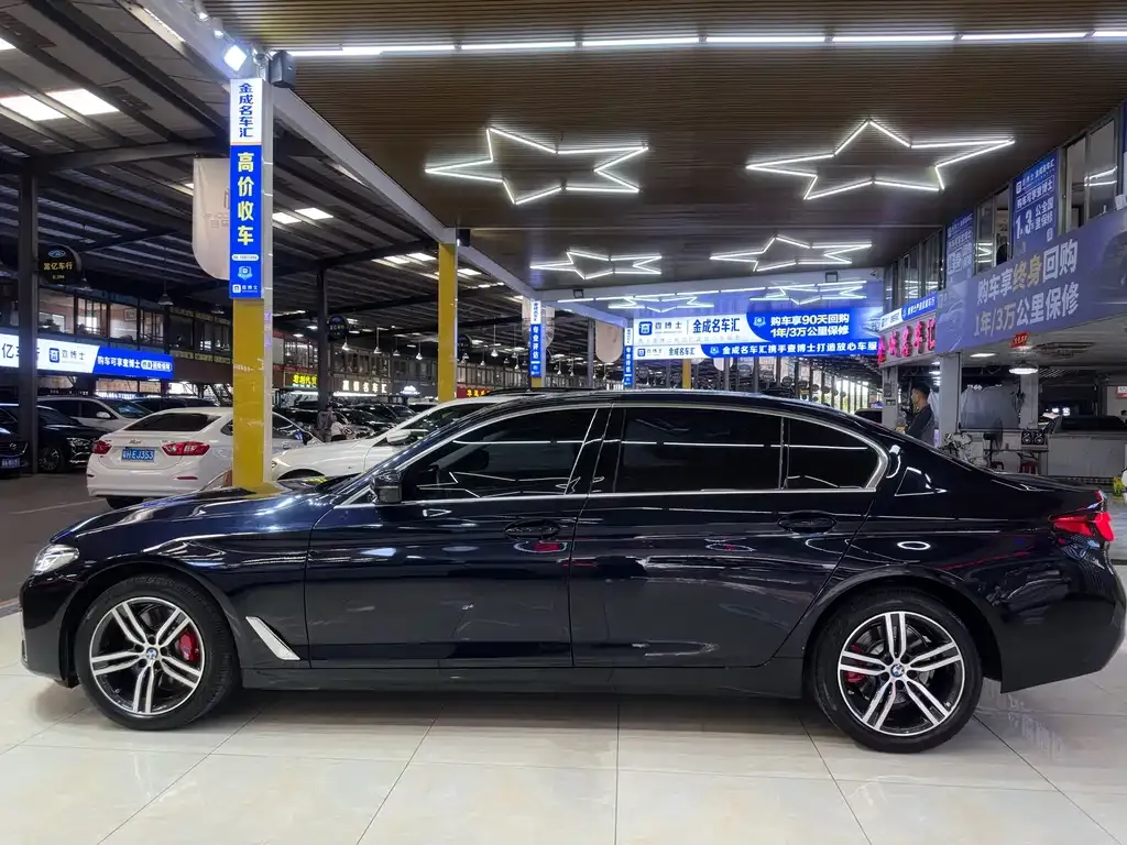BMW 5 Series 2021 из CN, фото 6