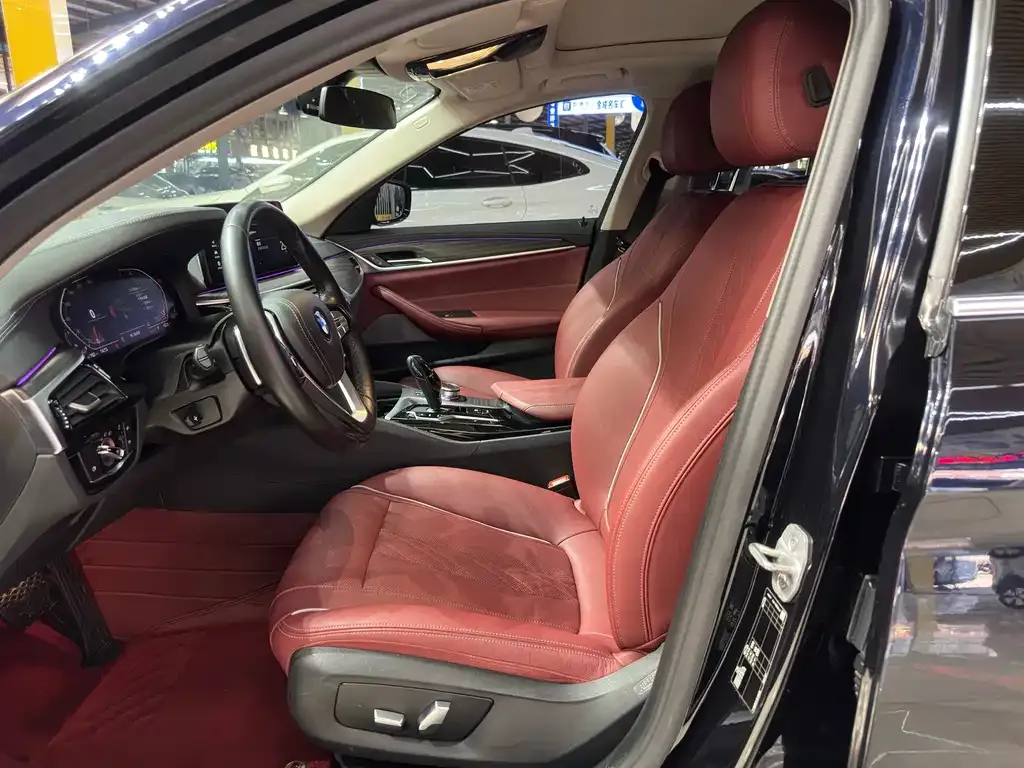BMW 5 Series 2021 из CN, фото 8