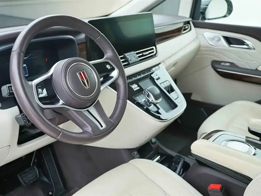 Hongqi HQ9 2023 из CN, фото 10