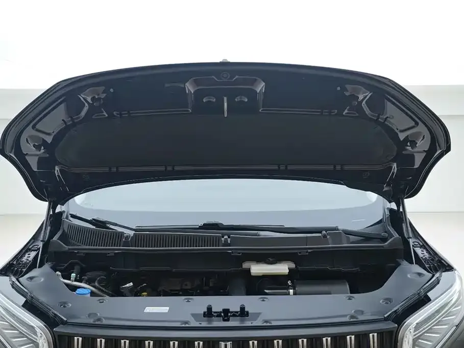 Hongqi HQ9 2023 из CN, фото 7