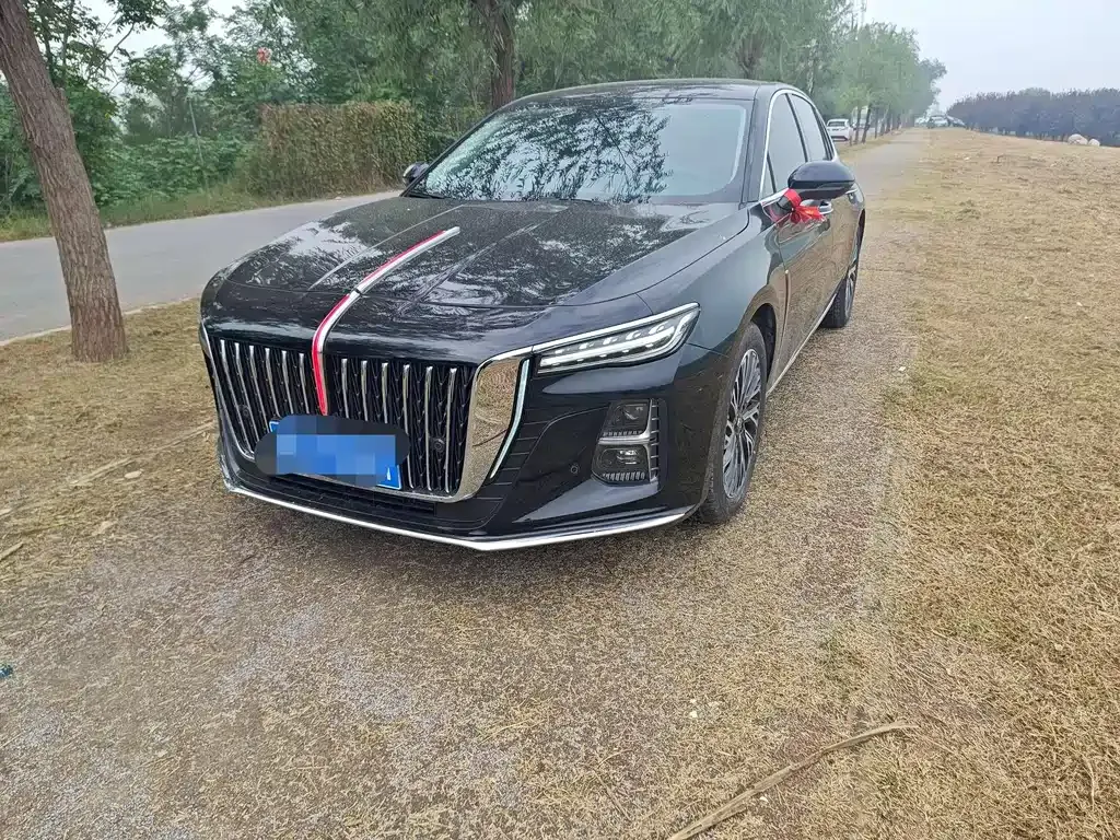 Hongqi H5 2025 из CN, фото 1
