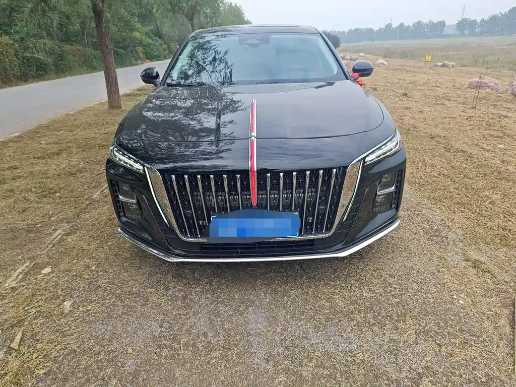 Hongqi H5 2025 из CN, фото 2