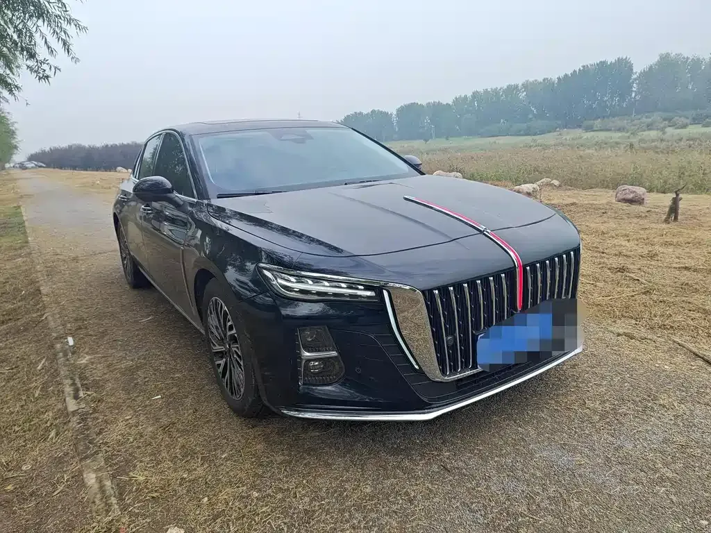 Hongqi H5 2025 из CN, фото 3