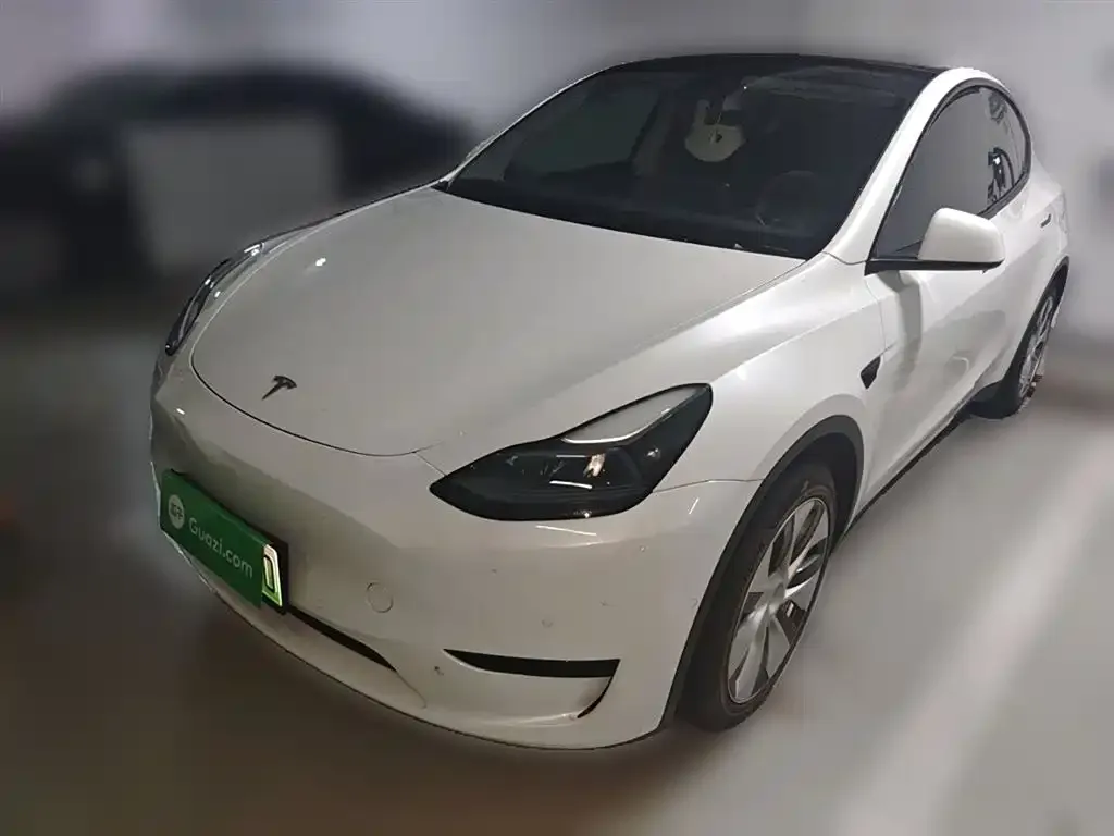 Tesla Model Y 2022 из CN, фото 1
