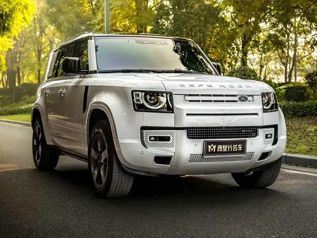 Land Rover Defender 2022 из CN, фото 3