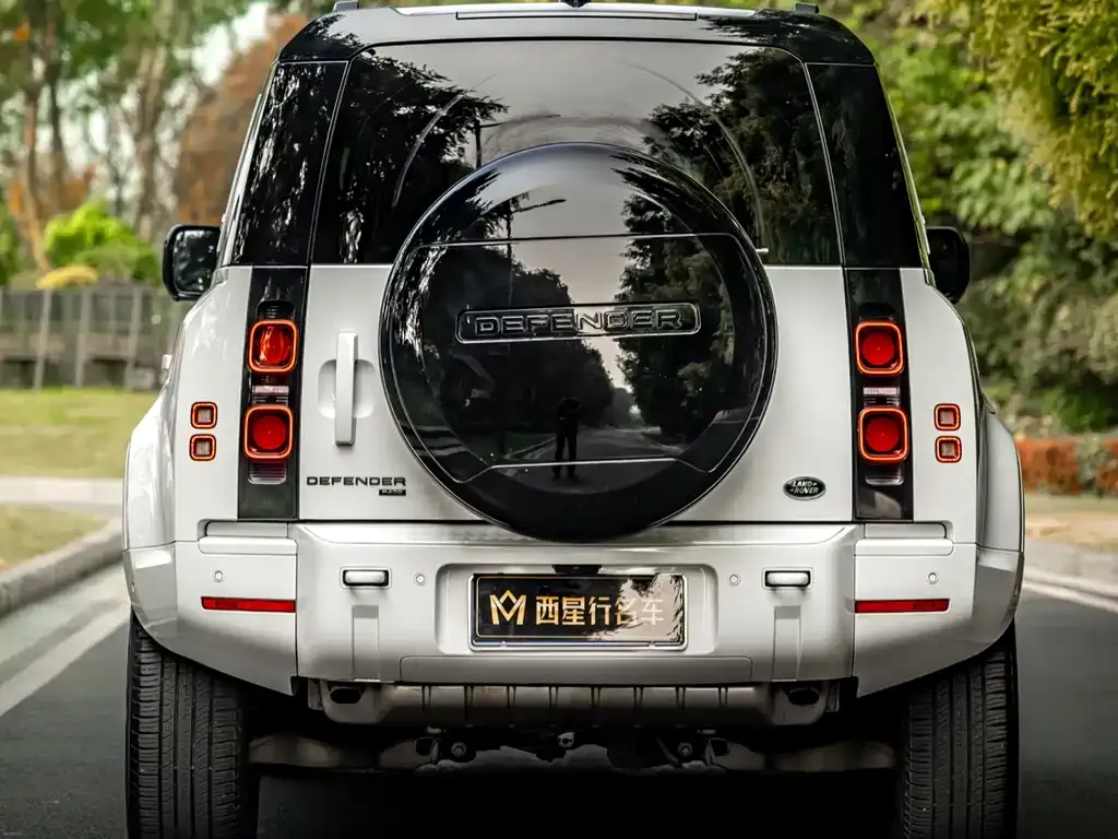 Land Rover Defender 2022 из CN, фото 4