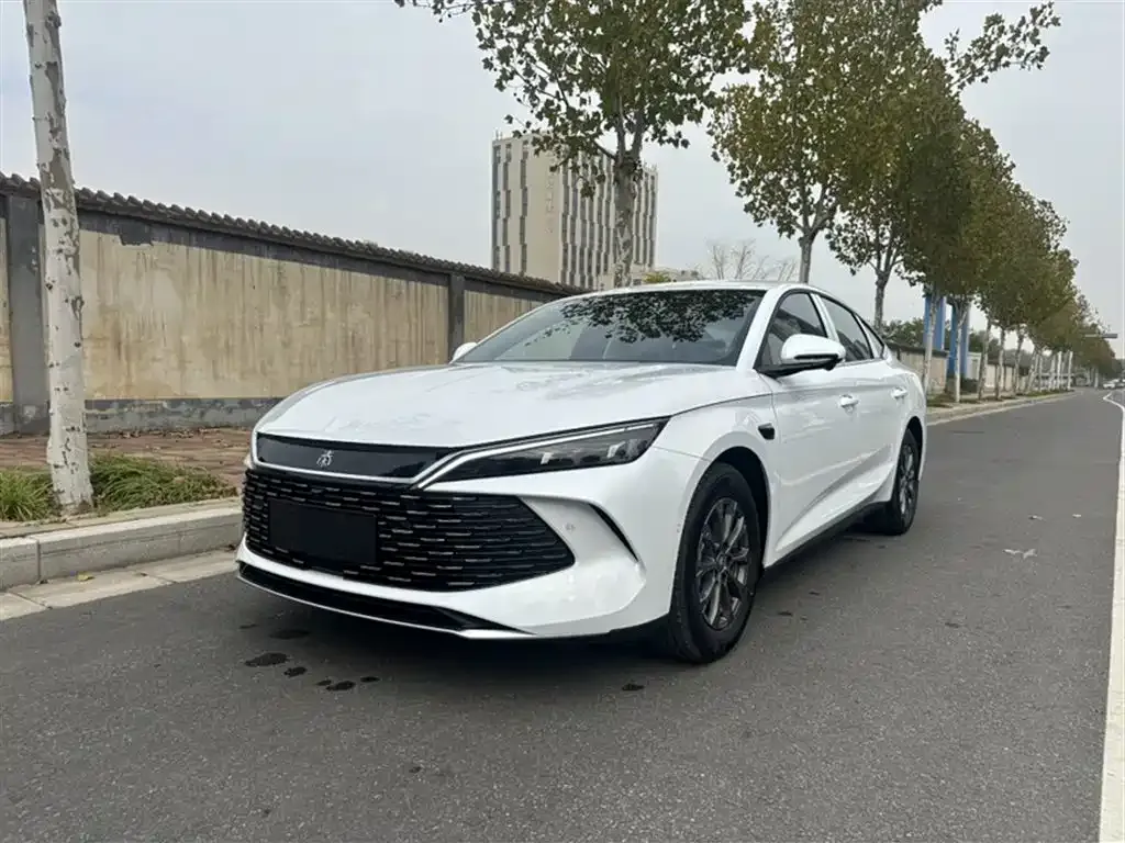 BYD Qin L — фото 1