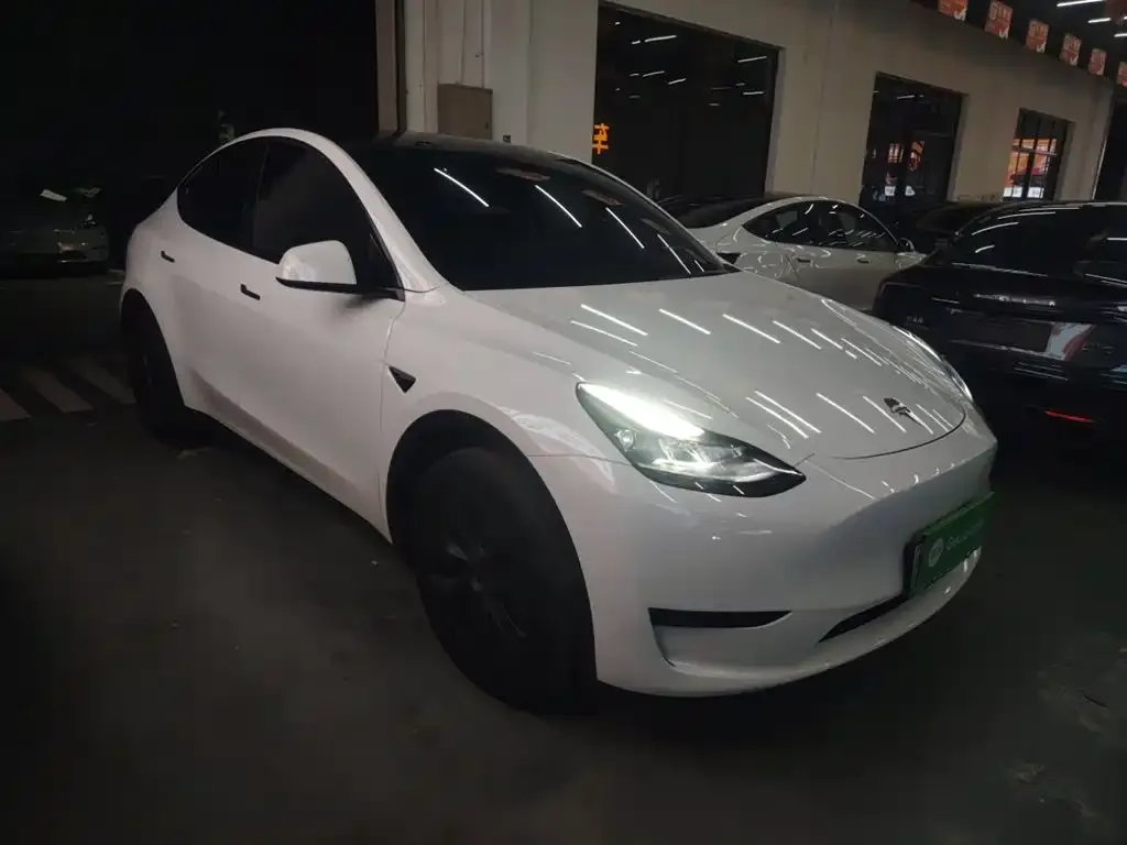 Tesla Model Y 2023 из CN, фото 4