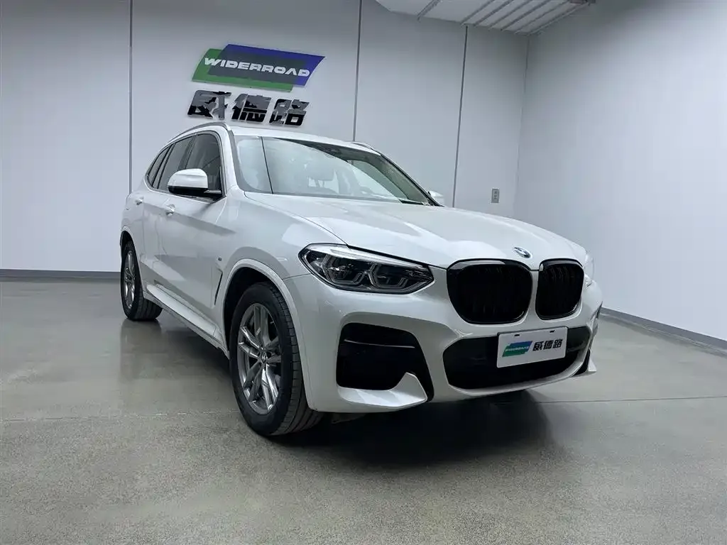 BMW X3 2021 из CN, фото 3