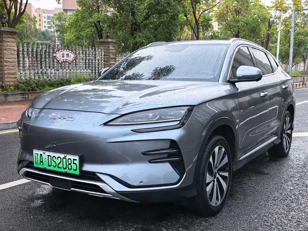 BYD PLUS New Energy 2024 из CN, фото 1