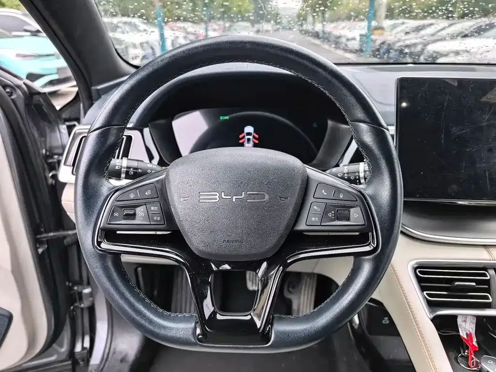 BYD PLUS New Energy 2024 из CN, фото 10