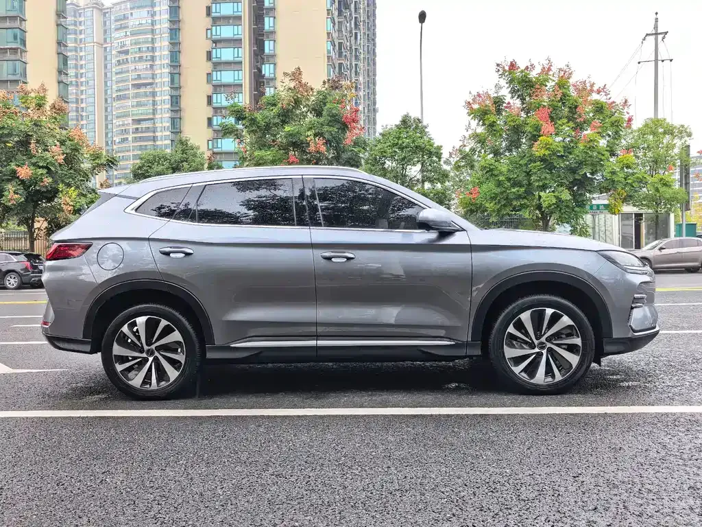 BYD PLUS New Energy 2024 из CN, фото 4