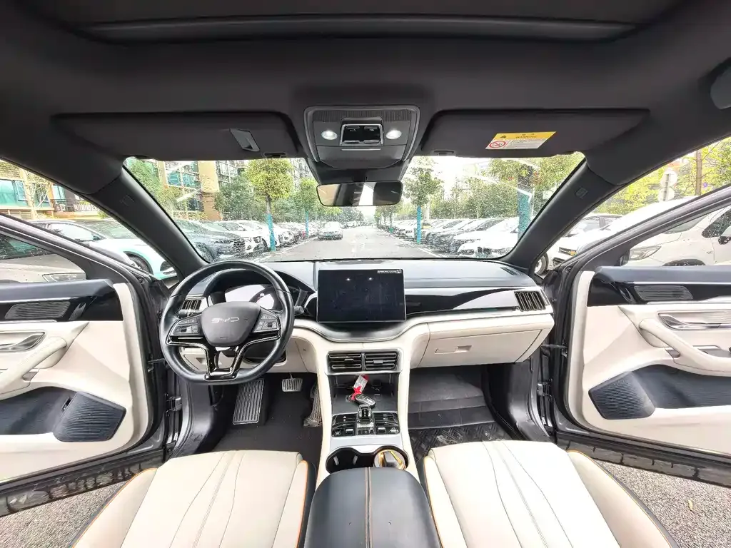 BYD PLUS New Energy 2024 из CN, фото 8