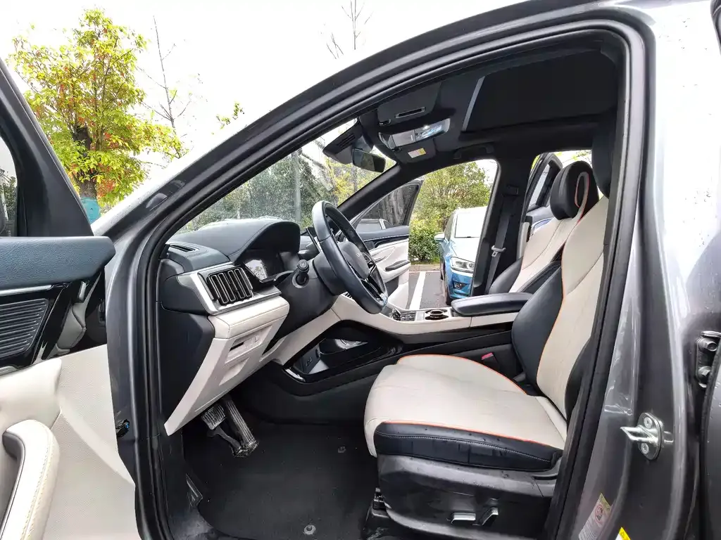 BYD PLUS New Energy 2024 из CN, фото 9
