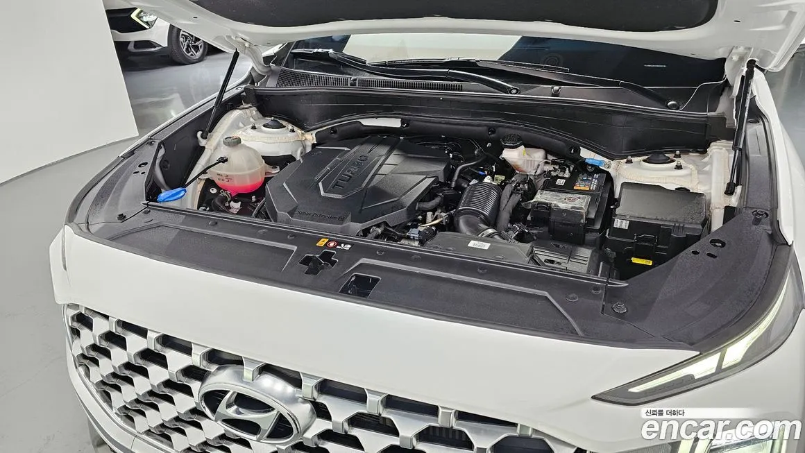 Hyundai Santafe 2021 из KR, фото 6
