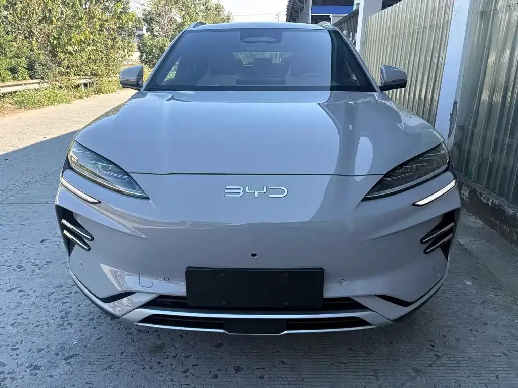 BYD PLUS New Energy 2023 из CN, фото 2