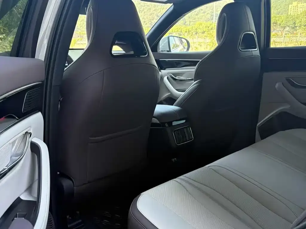BYD PLUS New Energy 2023 из CN, фото 4