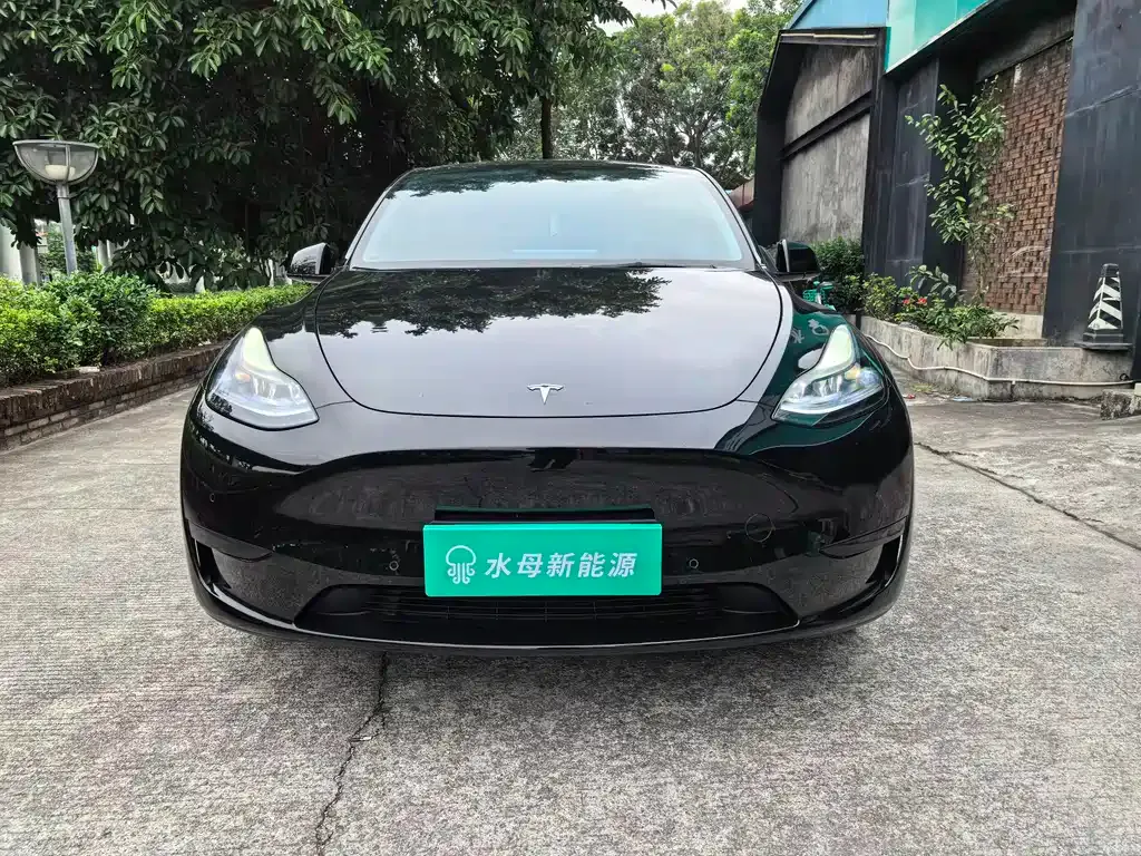 Tesla Model Y 2024 из CN, фото 3