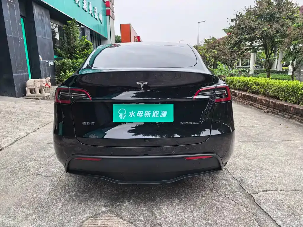 Tesla Model Y 2024 из CN, фото 4
