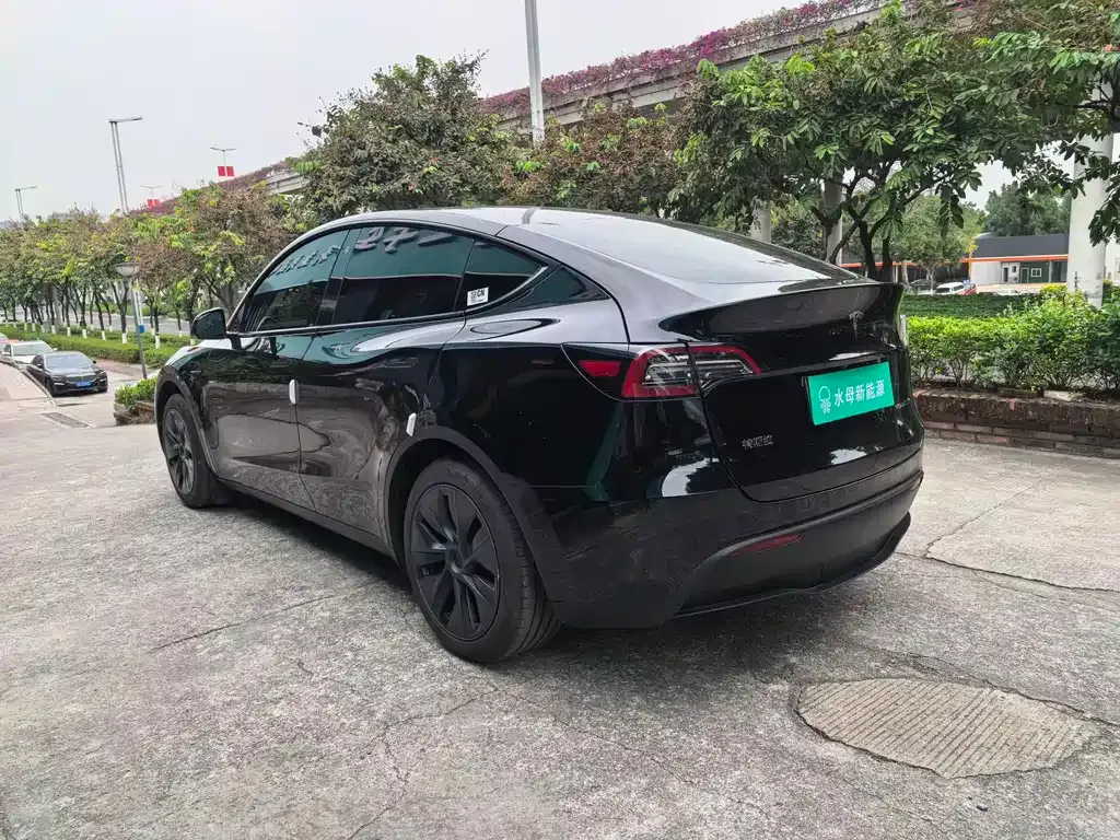 Tesla Model Y 2024 из CN, фото 5