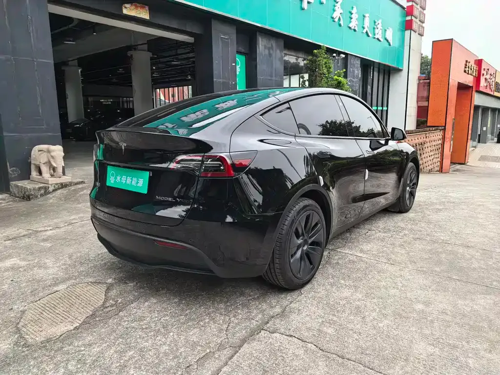 Tesla Model Y 2024 из CN, фото 6