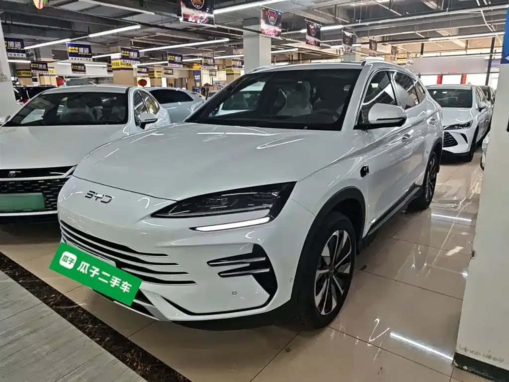 BYD PLUS New Energy 2025 из CN, фото 2