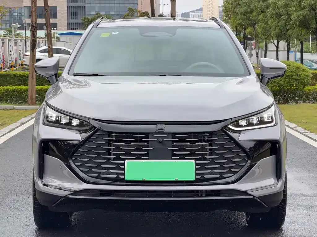 BYD Tang New Energy 2025 из CN, фото 2