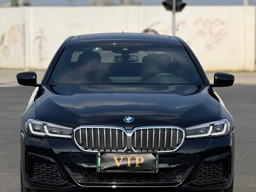 BMW 5 Series New Energy — фото 1