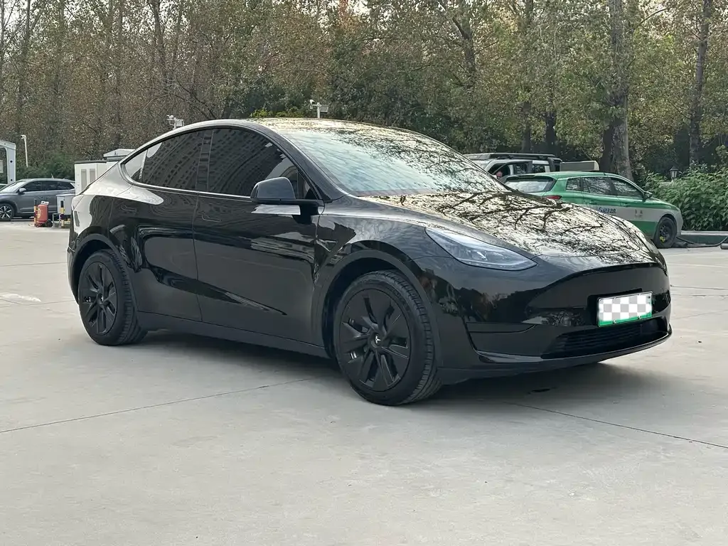 Tesla Model Y 2023 из CN, фото 3