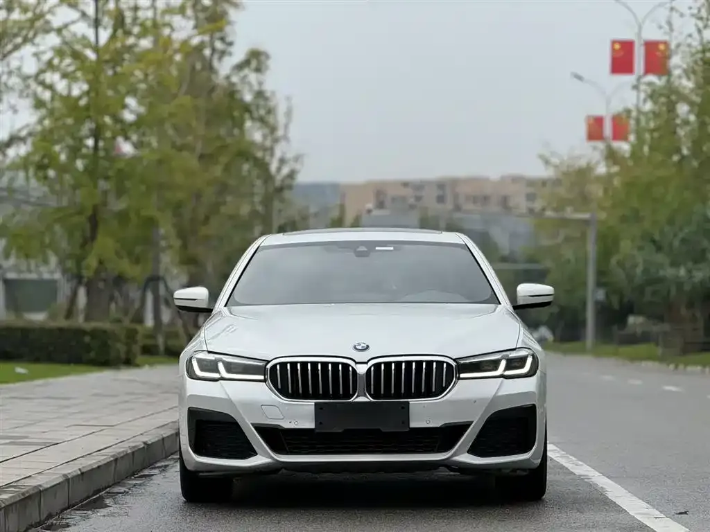 BMW 5 Series 2021 из CN, фото 3