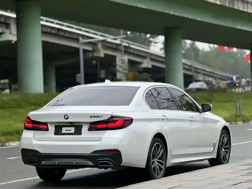 BMW 5 Series 2021 из CN, фото 4