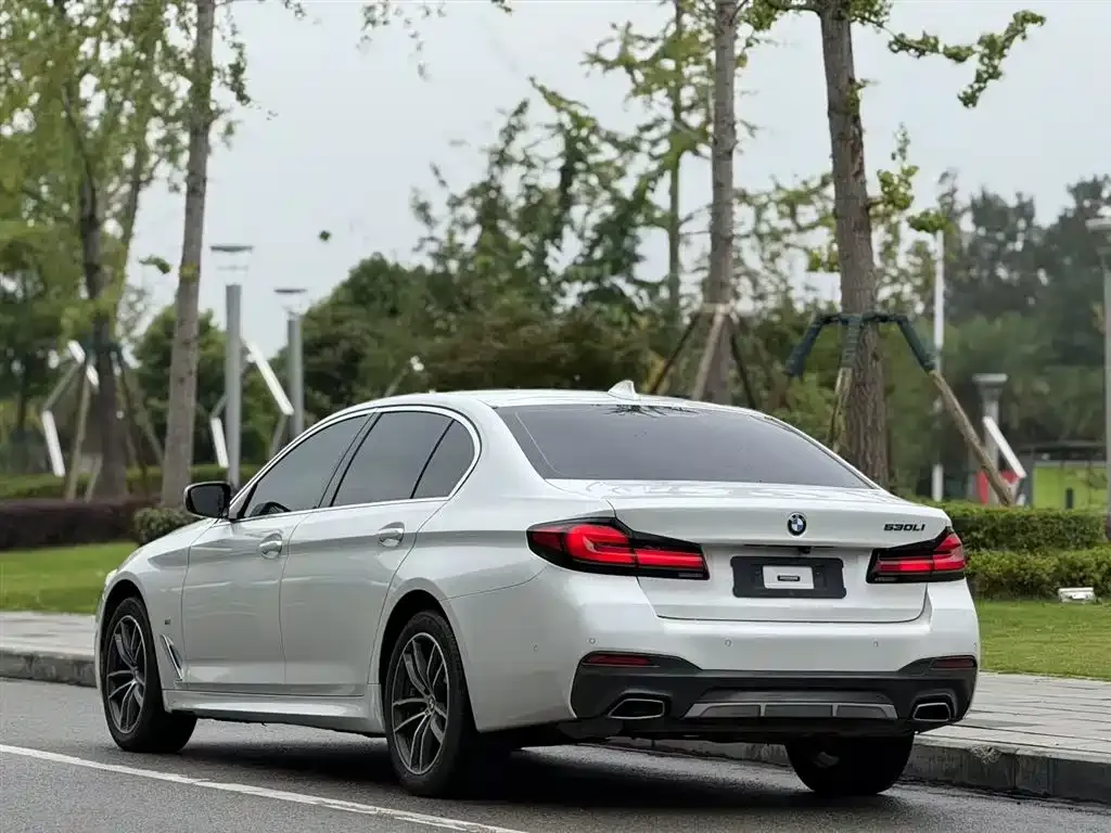 BMW 5 Series 2021 из CN, фото 5