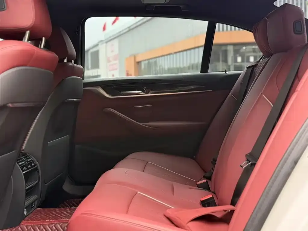 BMW 5 Series 2021 из CN, фото 6