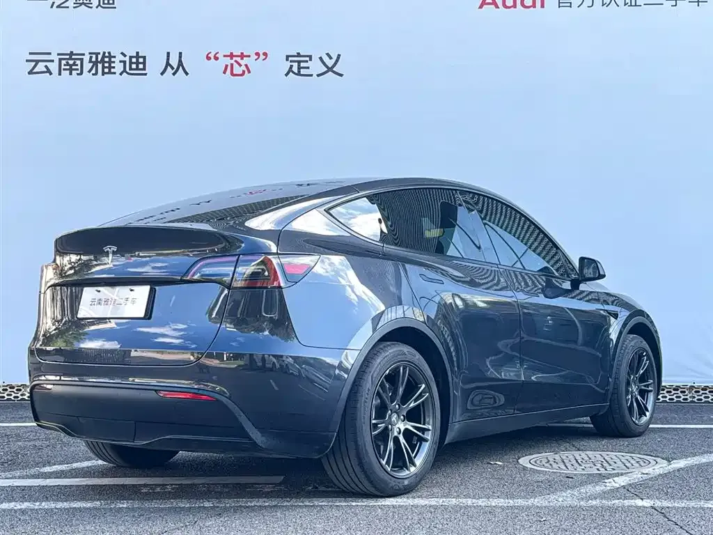 Tesla Model Y 2024 из CN, фото 4