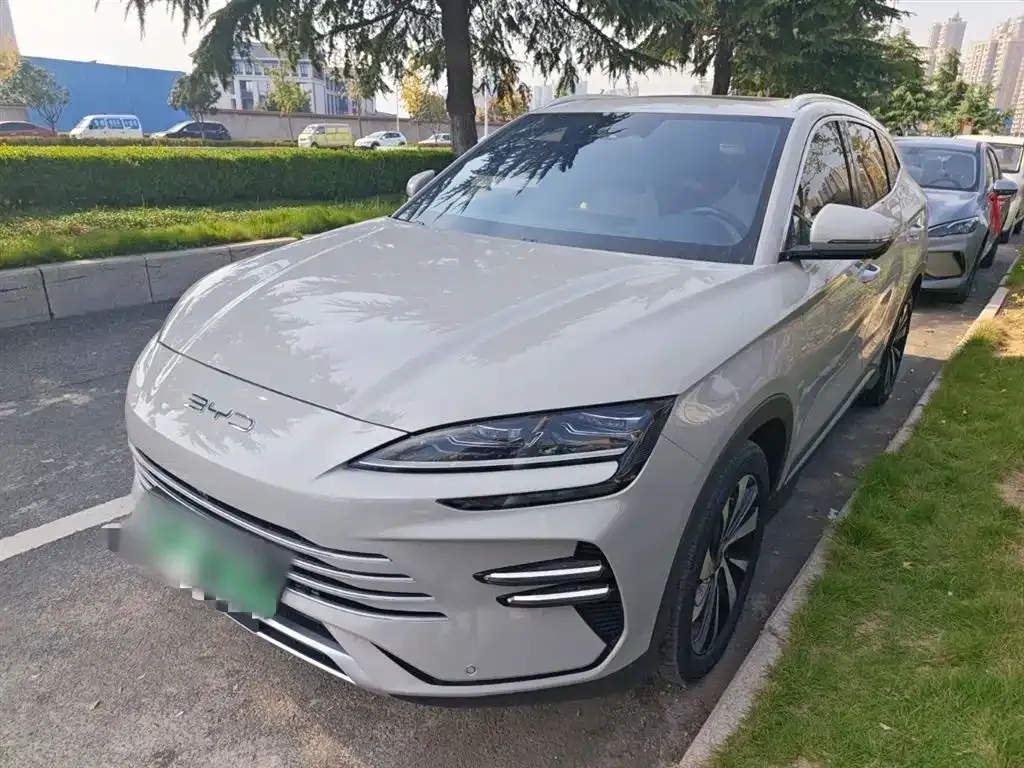BYD PLUS New Energy 2023 из CN, фото 2