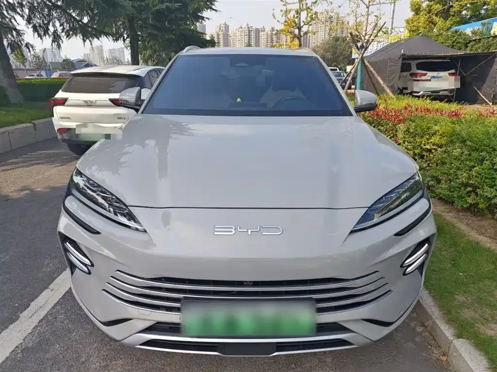 BYD PLUS New Energy 2023 из CN, фото 3