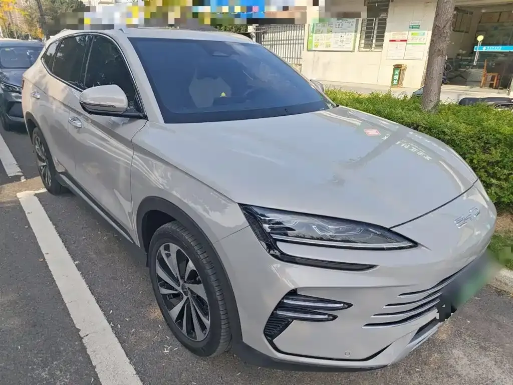 BYD PLUS New Energy 2023 из CN, фото 4