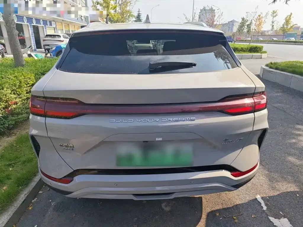 BYD PLUS New Energy 2023 из CN, фото 6