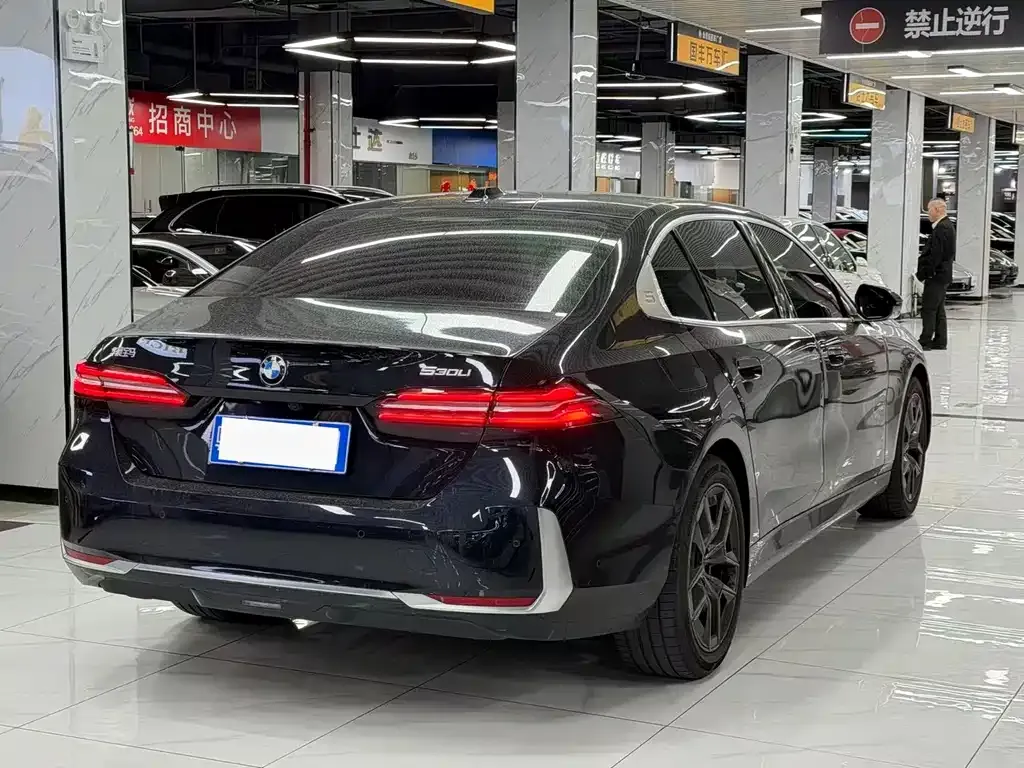 BMW 5 Series 2025 из CN, фото 8