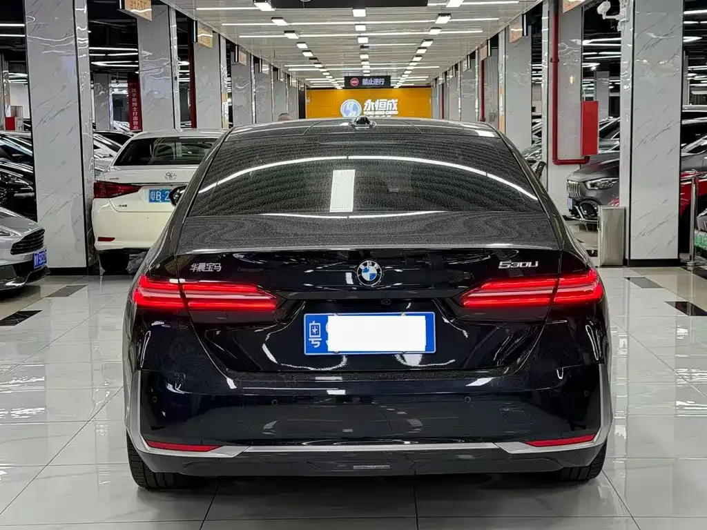 BMW 5 Series 2025 из CN, фото 9