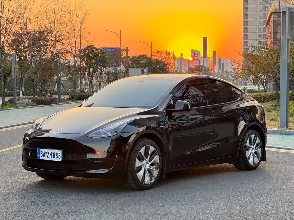 Tesla Model Y — фото 1