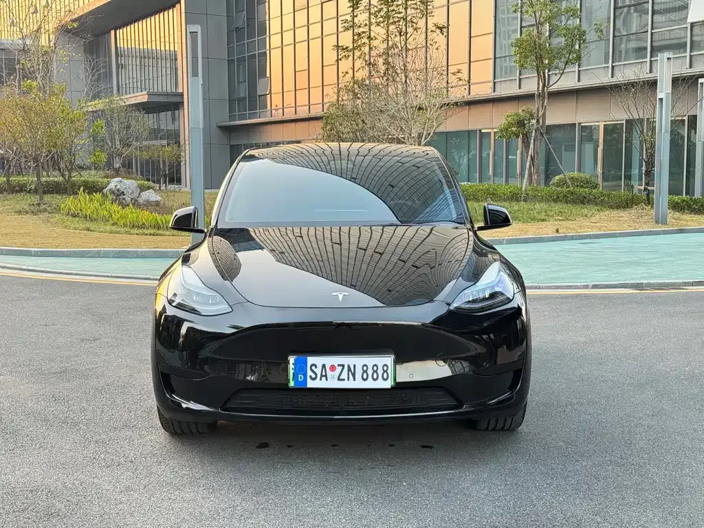 Tesla Model Y — фото 2