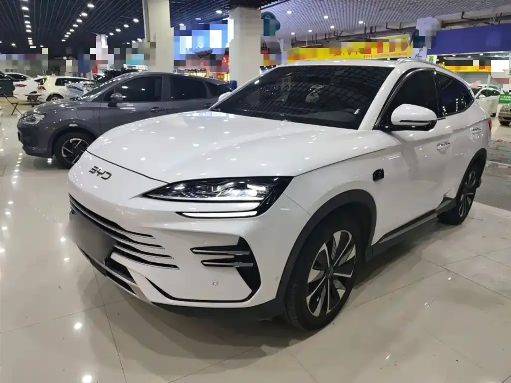 BYD PLUS New Energy 2025 из CN, фото 1