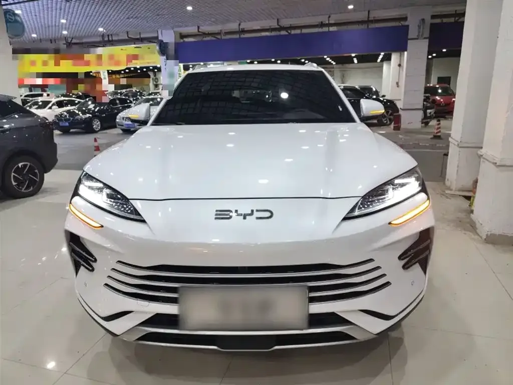 BYD PLUS New Energy 2025 из CN, фото 3